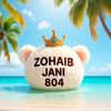 zohaibjani6500