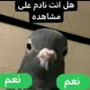 user77827887944807