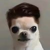 bubbaubias8