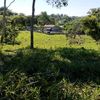 del rancho los tres carnales