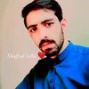 naveedmughal.121