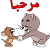 user2862375821536