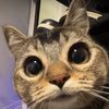 juan_munky01
