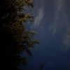 wllo_2