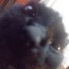 user354192554012