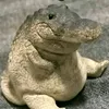 umaiyahi