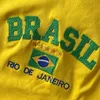 Translate Brazilian Songs