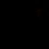 vxr_smd