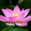 cuộc sống