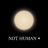 nothuman3493