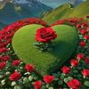 masha.masha34
