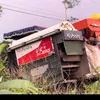 longan381
