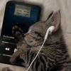 musica