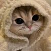 memek_imut