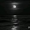 najmabaher5