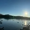 rebecca_stewart12