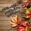 user16051368318182