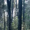 bella_keadilan
