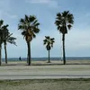 zoedubois