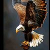 malak_hamza05