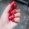 sutonny.mondal22