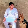 mian.alyan86
