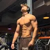 bekas_236