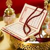 omadem.thabet2