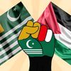 hammad.hussain636