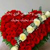 sagdaballh