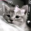 xxx_reaa8