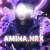 amina.amp