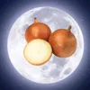 seef_onion