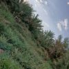 mamdouh.fawzi8