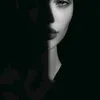 non22_n._3