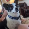 greyson_3456