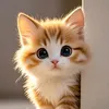 zzunkdhe59o