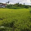 nguyn.quang.trung884