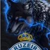 Cruzeiro 💙🦊 sangue azul
