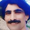 alvi.king65