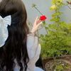 carline.flower