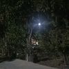 user19856176136155