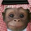 nawaf.826