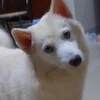 karenpenilla7