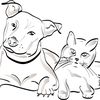 happy.pets799
