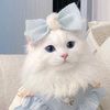 user17441611009030