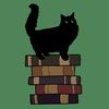 fluffyblackcatreads