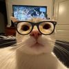 evelynneschrader86