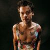 harrys.gay.v0dka