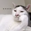 dwng_le